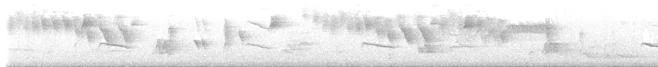 ムジヒメアリサザイ - ML625012308