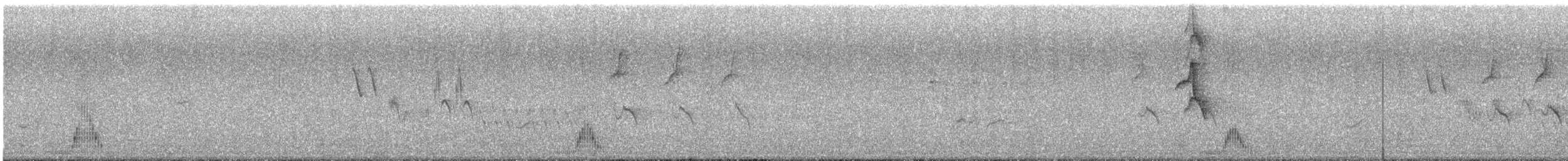 Croaking Ground Dove - ML625016747