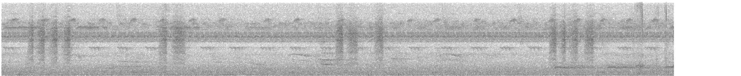 Northern House Wren (Northern) - ML625017711