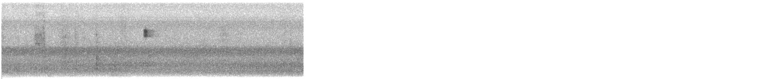 ズグロアメリカムシクイ - ML625021274