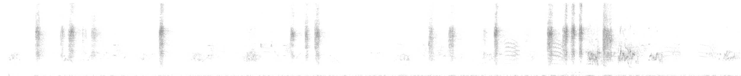 Budgerigar - ML625022556