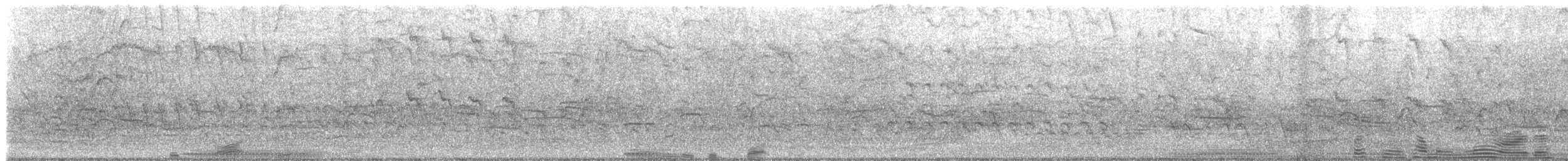 blackbird sp. - ML625024347