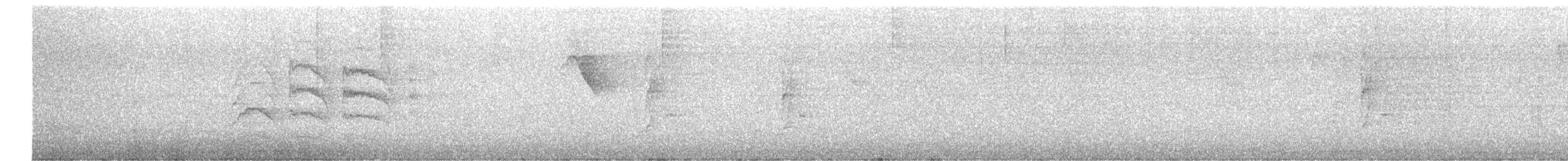 ムジヒメアリサザイ - ML625024364