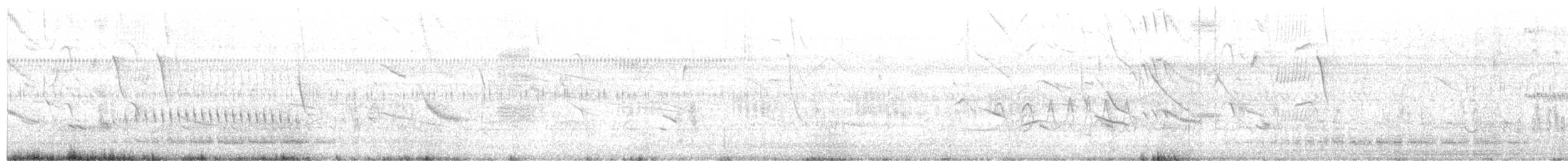 Pantanal Snipe - ML625024628