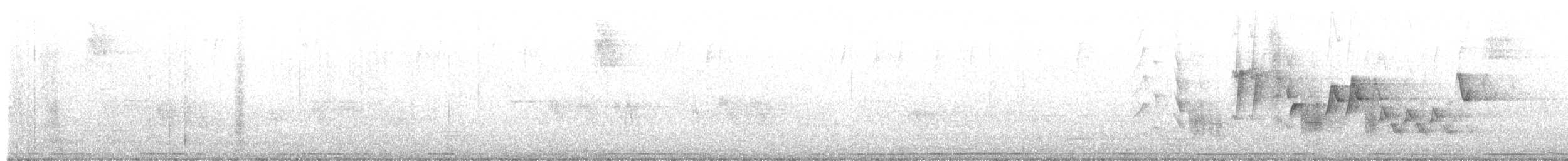 Southern House Wren - ML625026027