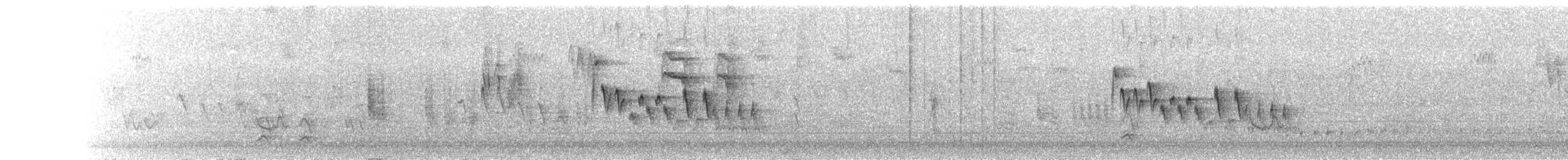 Northern House Wren - ML625028479