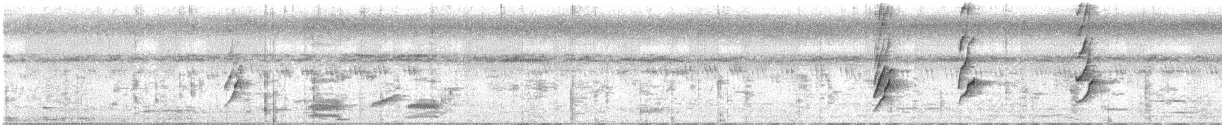 Plum-headed Parakeet - ML625032799