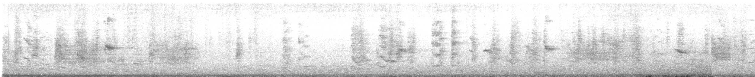 Quiscale violet - ML625037789