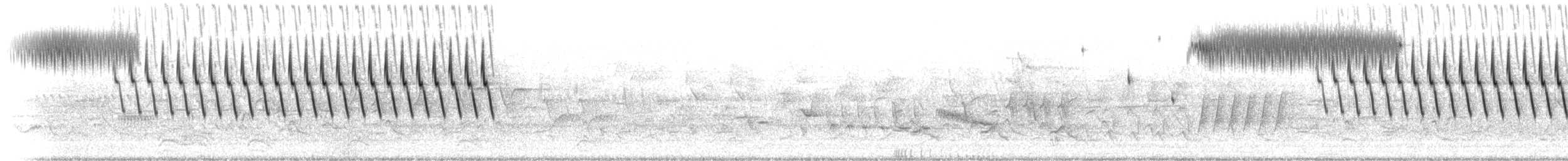 Малая воробьиная овсянка - ML62503991