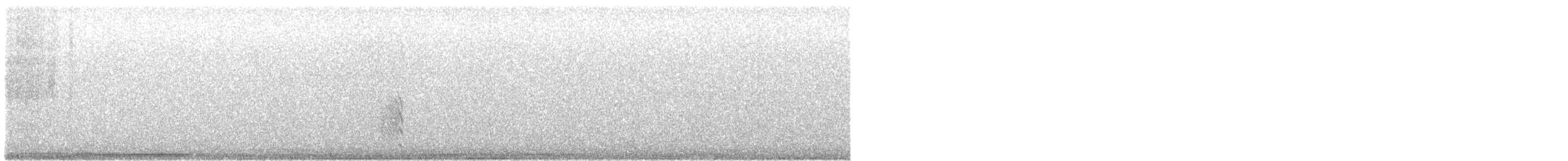 Bécassine de Wilson - ML625044673