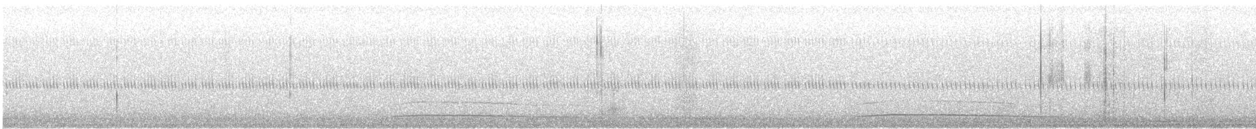 Petit-duc maculé - ML625044679