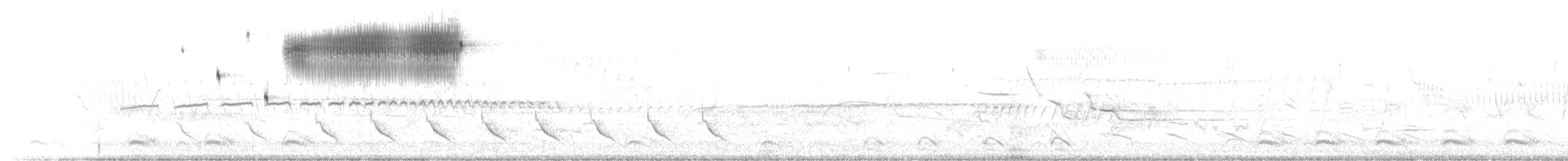 Кузнечиковая овсянка-барсучок - ML62504491