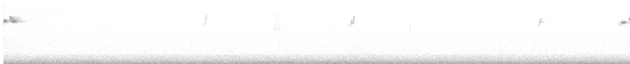 Regolo - ML625046073