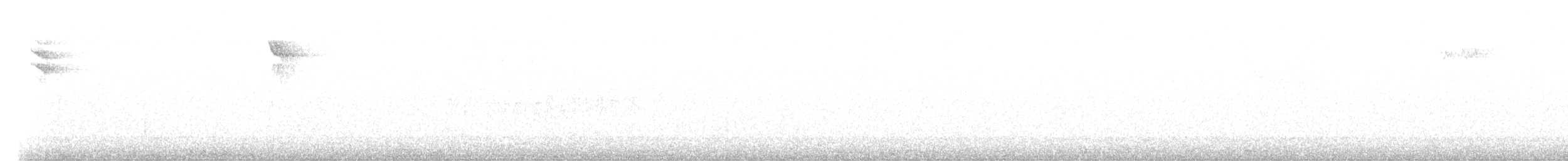 Pettirosso - ML625046088