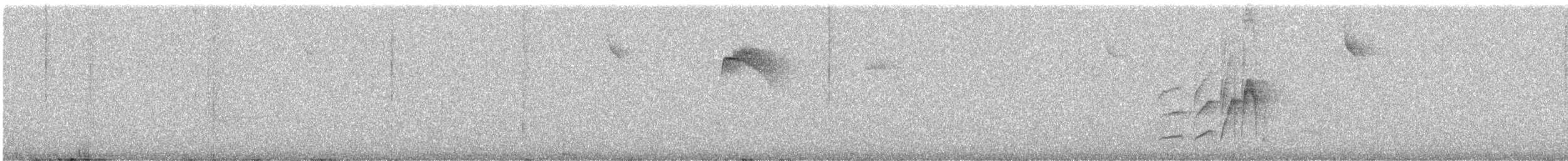 Variegated Flycatcher - ML625051670