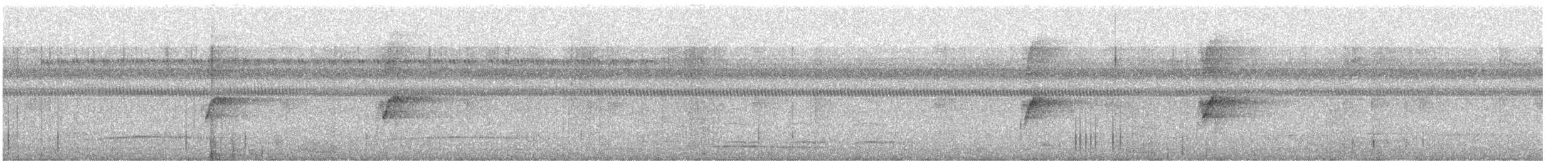 Bindenarassari - ML625057361