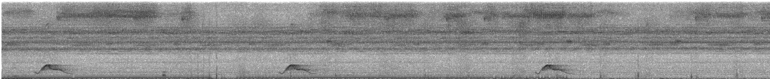 Common Pauraque - ML625059202