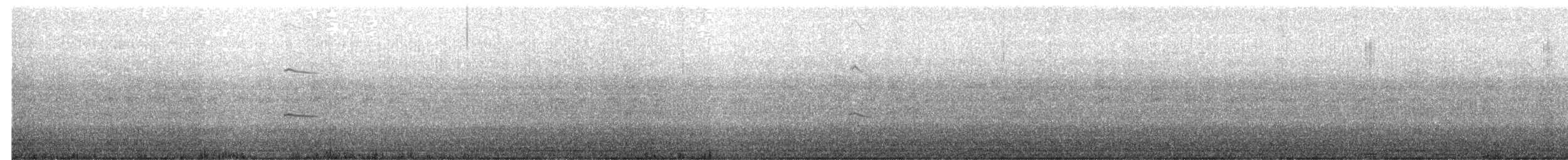 Laysan Albatross - ML625060330