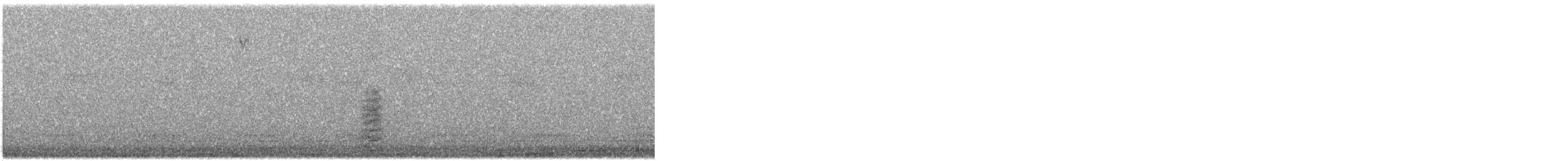 Нугасны овгийн зүйл - ML625067181