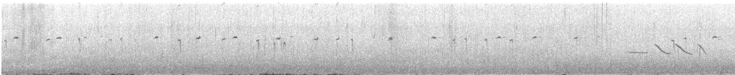 White-browed Ground-Tyrant - ML625072983