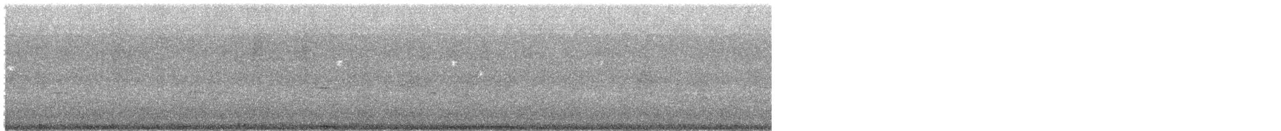 Black Wood-Pigeon - ML625079098