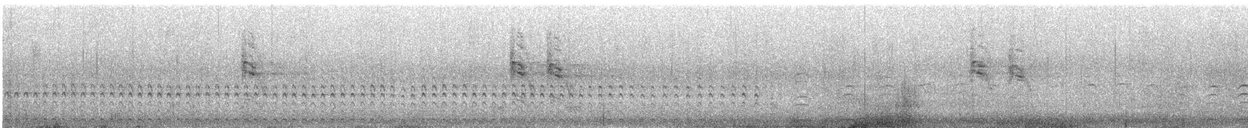 Râle affin - ML625085794