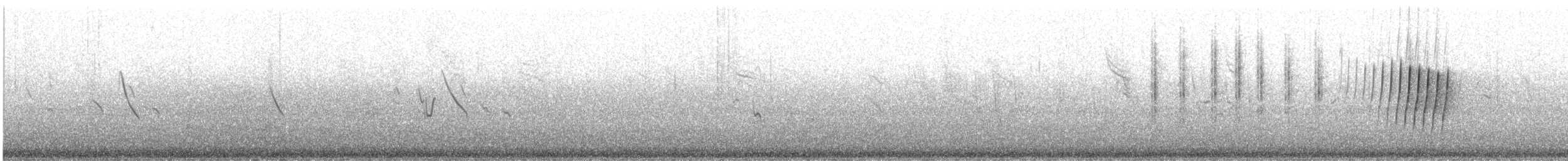 kappirisk - ML625086073