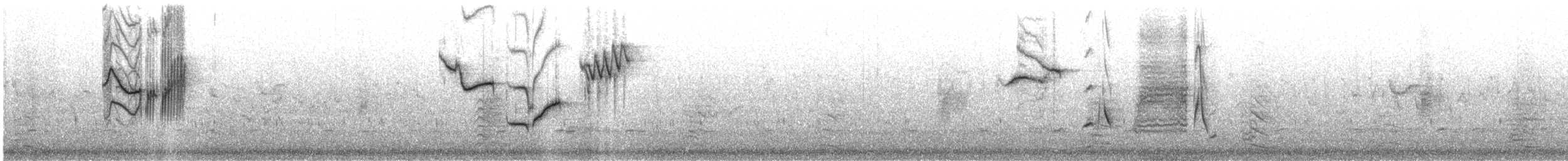 Fiscal Flycatcher - ML625086113