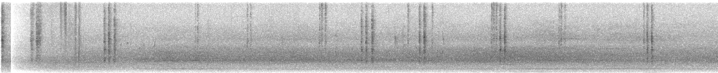 Turpial Enmascarado (cucullatus/sennetti) - ML625089326