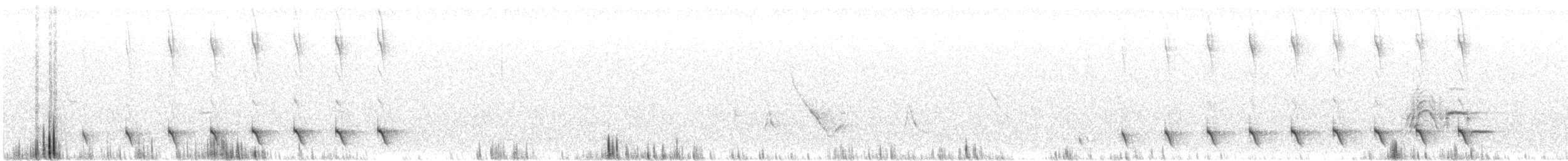 Sandy Gallito - ML625092997