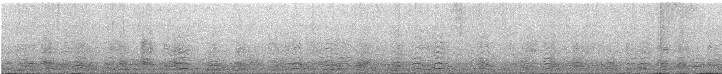 Цасны галуу - ML625100713