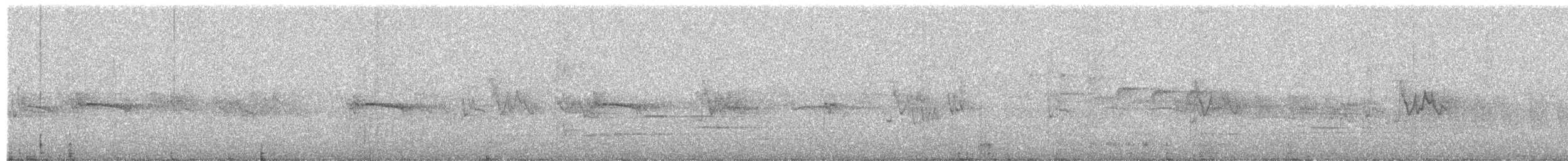 North Island Robin - ML625102884
