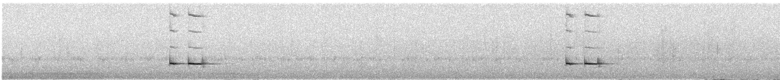 Equatorial Antpitta - ML625103217