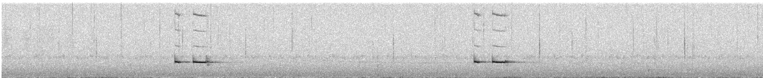 Equatorial Antpitta - ML625103218