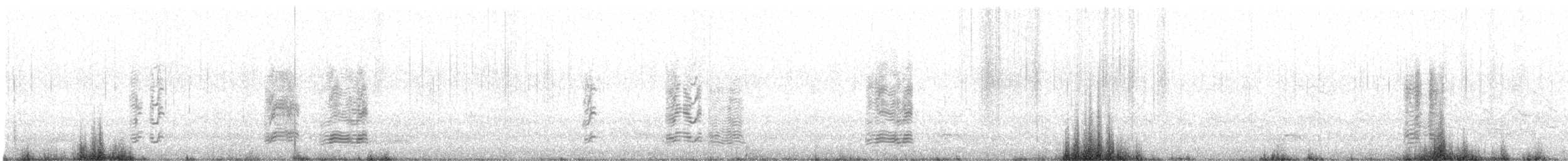 Pink-footed Goose - ML625105727