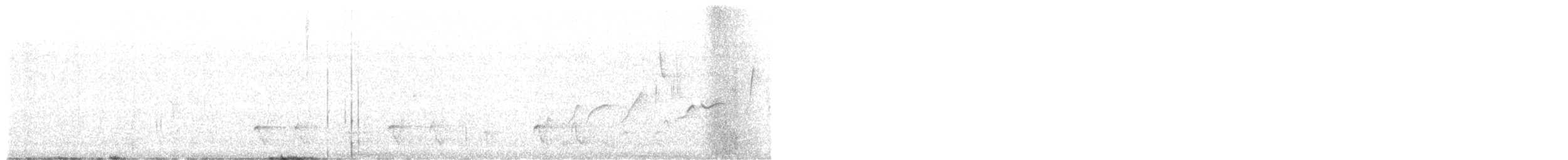 Common Bronzewing - ML625108255