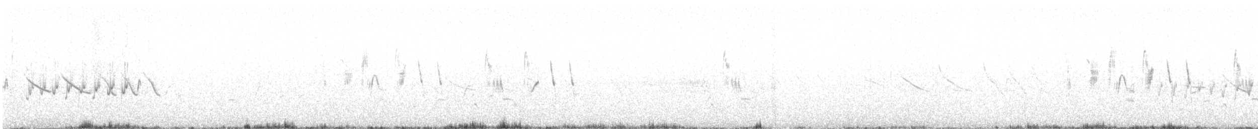 Correndera Pipit - ML625109271