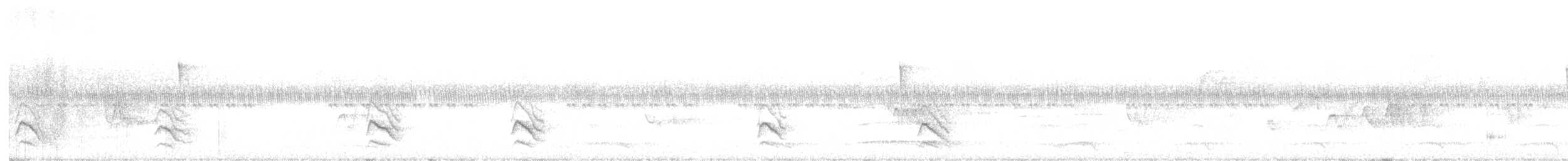 Plain Antvireo - ML625114880