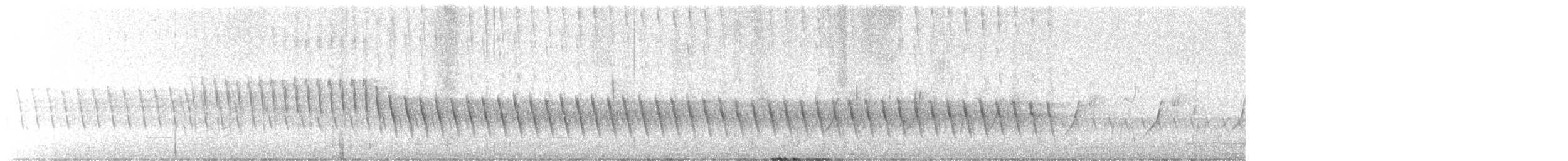 White-winged Triller - ML625115501