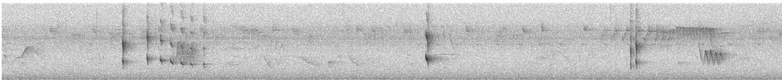 Titirijí Perlado - ML625118516