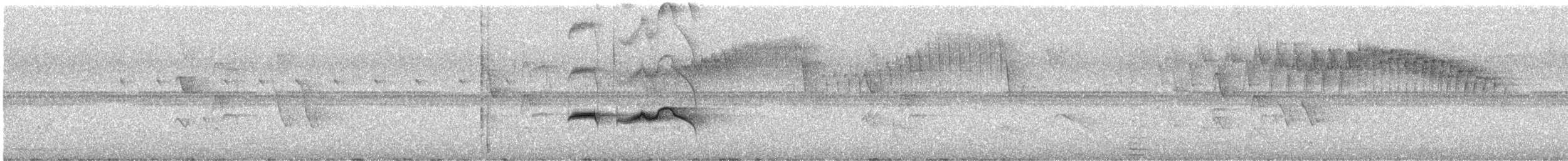 Hormiguero Estriado - ML625118523