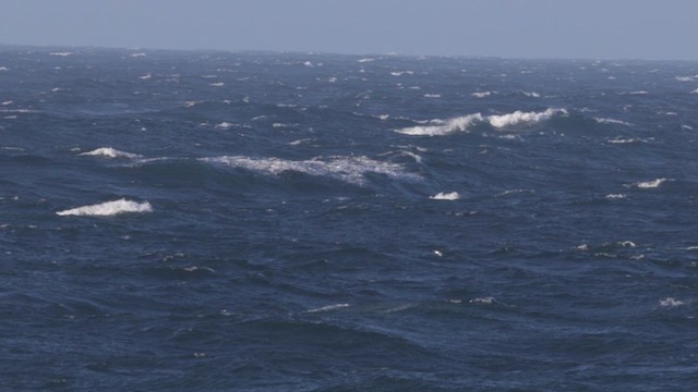 havlire - ML625120585