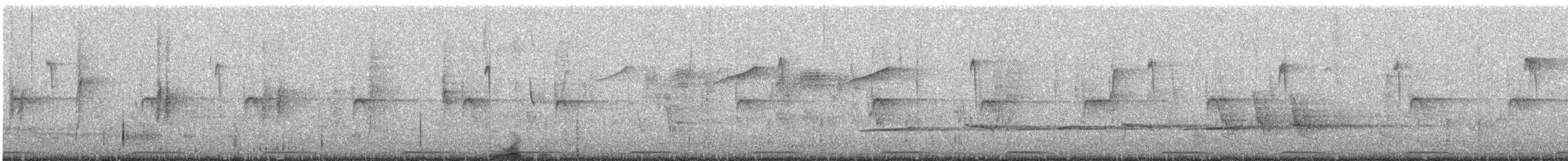 Whyte's Barbet - ML625121317