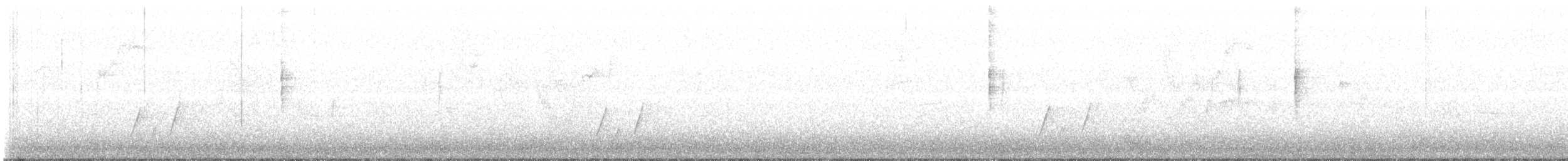 MacGillivray's Warbler - ML625123124