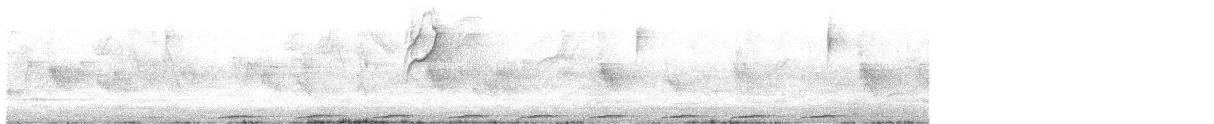 holoubek pikui - ML625124262