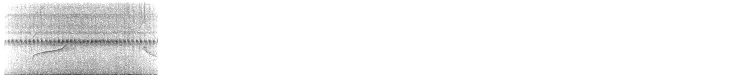 Moucherolle à longs brins - ML625125394