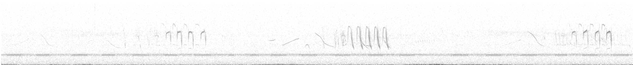 コバシヌマミソサザイ - ML625128492