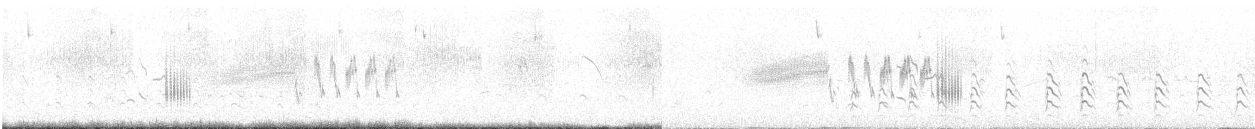 Bearded Tachuri - ML625128597