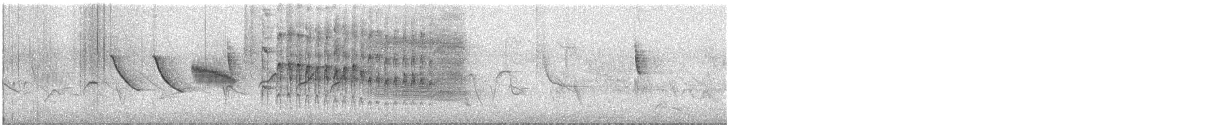 Striped Woodpecker - ML625140673