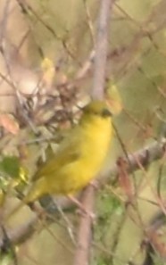 solvever - ML625153236